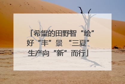 希望的田野智“绘”好“丰”景 “三夏”生产向“新”而行