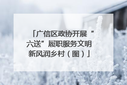 广信区政协开展“六送”履职服务文明新风润乡村（图）