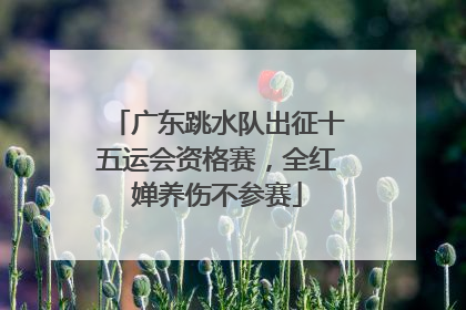 广东跳水队出征十五运会资格赛，全红婵养伤不参赛