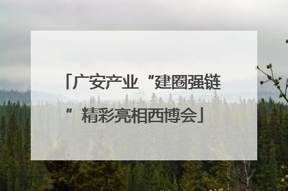 广安产业“建圈强链”精彩亮相西博会