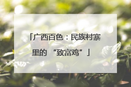 广西百色：民族村寨里的 “致富鸡”