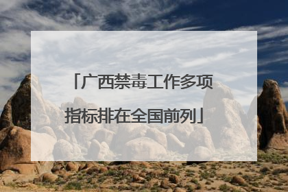 广西禁毒工作多项指标排在全国前列