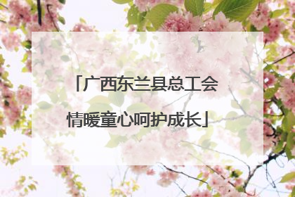 广西东兰县总工会情暖童心呵护成长