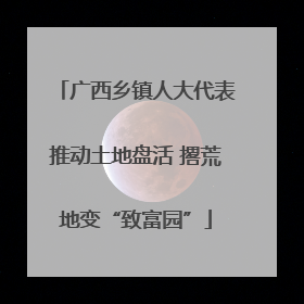 广西乡镇人大代表推动土地盘活 撂荒地变“致富园”
