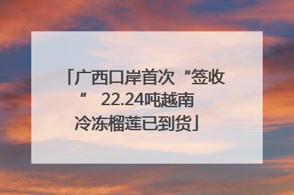 广西口岸首次“签收” 22.24吨越南冷冻榴莲已到货
