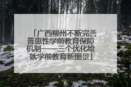 广西柳州不断完善普惠性学前教育保障机制——三个优化绘就学前教育新图景