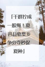 干群拧成一股绳！夏邑县骆集乡争分夺秒促夏种