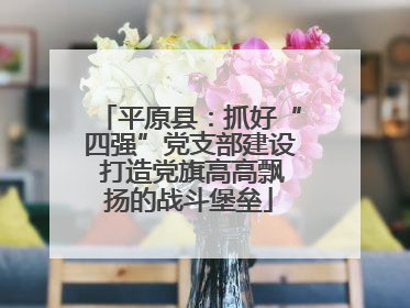 平原县：抓好“四强”党支部建设 打造党旗高高飘扬的战斗堡垒
