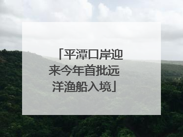 平潭口岸迎来今年首批远洋渔船入境