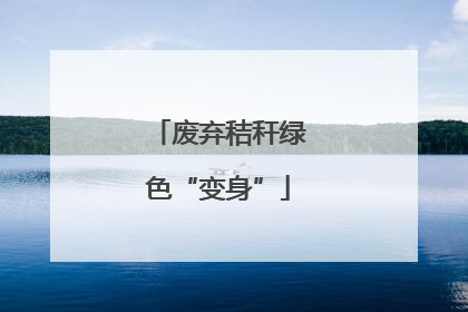 废弃秸秆绿色“变身”