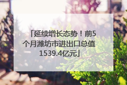 延续增长态势！前5个月潍坊市进出口总值1539.4亿元