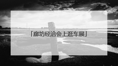 廊坊经洽会上逛车展