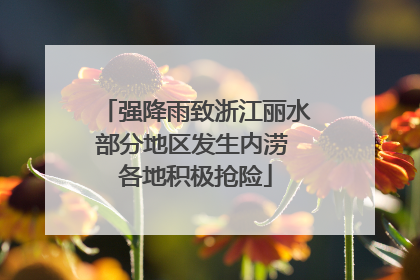 强降雨致浙江丽水部分地区发生内涝 各地积极抢险