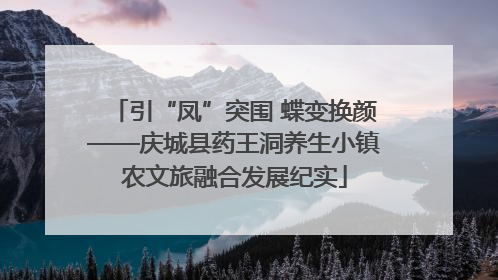引“凤”突围 蝶变换颜——庆城县药王洞养生小镇农文旅融合发展纪实