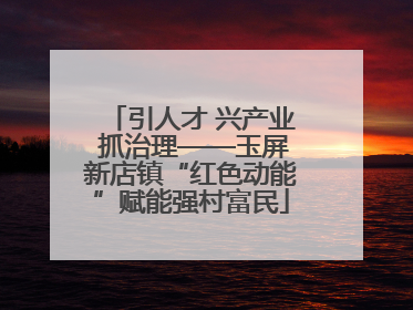 引人才 兴产业 抓治理——玉屏新店镇“红色动能”赋能强村富民