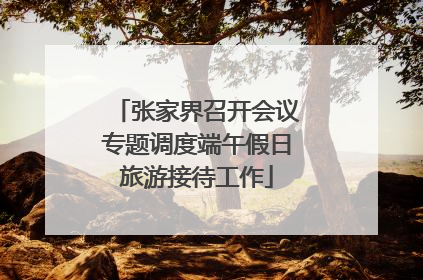 张家界召开会议专题调度端午假日旅游接待工作