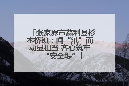 张家界市慈利县杉木桥镇：闻“汛”而动显担当 齐心筑牢“安全堤”
