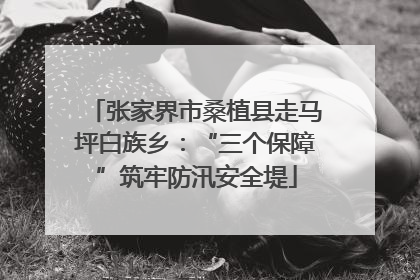 张家界市桑植县走马坪白族乡：“三个保障”筑牢防汛安全堤