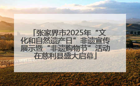 张家界市2025年“文化和自然遗产日”非遗宣传展示暨“非遗购物节”活动在慈利县盛大启幕