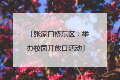 张家口桥东区：举办校园开放日活动