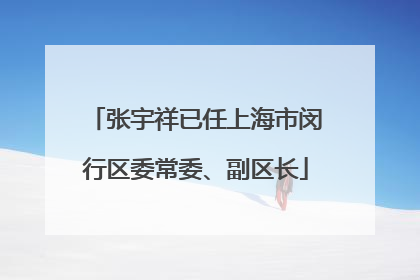 张宇祥已任上海市闵行区委常委、副区长