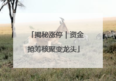 揭秘涨停｜资金抢筹核聚变龙头