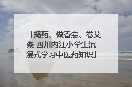 捣药、做香囊、卷艾条 四川内江小学生沉浸式学习中医药知识