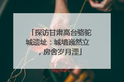 探访甘肃高台骆驼城遗址：城墙巍然立，房舍岁月湮