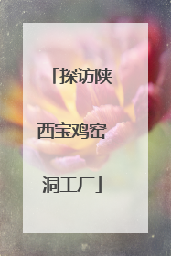 探访陕西宝鸡窑洞工厂