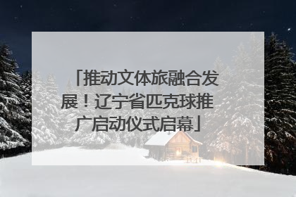 推动文体旅融合发展！辽宁省匹克球推广启动仪式启幕