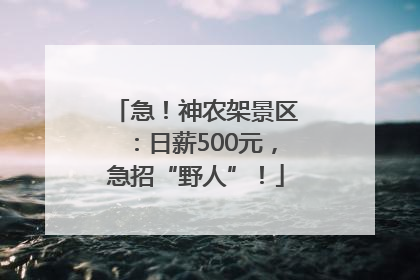 急！神农架景区：日薪500元，急招“野人”！