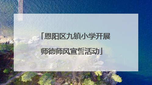 恩阳区九镇小学开展师德师风宣誓活动
