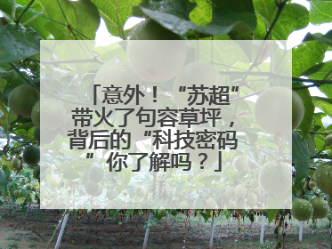 意外！“苏超”带火了句容草坪，背后的“科技密码”你了解吗？