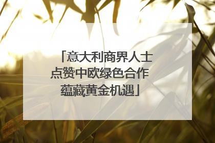 意大利商界人士点赞中欧绿色合作蕴藏黄金机遇