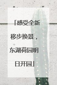 感受全新移步换景，东湖荷园明日开园
