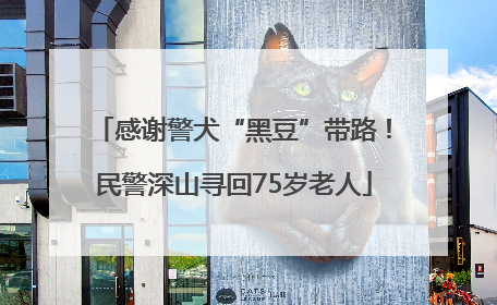 感谢警犬“黑豆”带路！民警深山寻回75岁老人