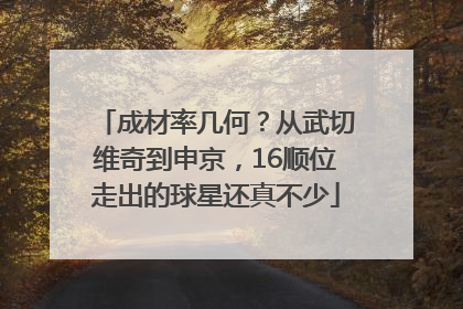 成材率几何？从武切维奇到申京，16顺位走出的球星还真不少