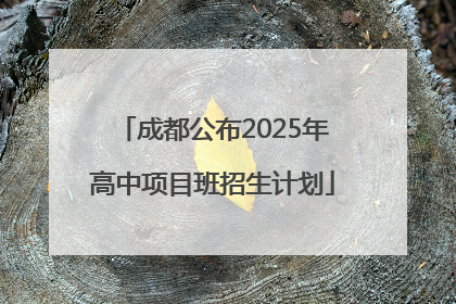 成都公布2025年高中项目班招生计划
