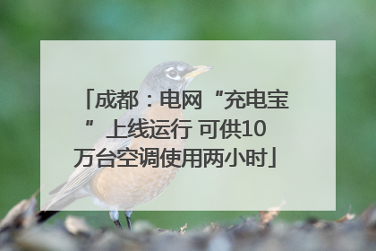 成都：电网“充电宝”上线运行 可供10万台空调使用两小时