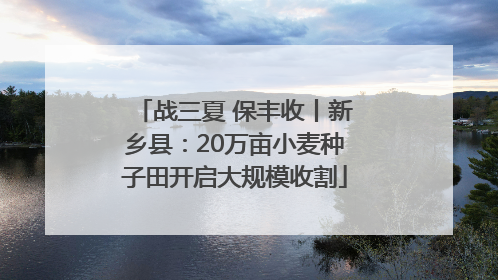 战三夏 保丰收丨新乡县：20万亩小麦种子田开启大规模收割
