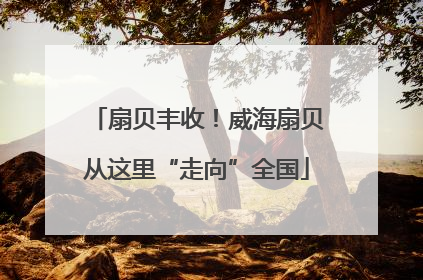 扇贝丰收！威海扇贝从这里“走向”全国