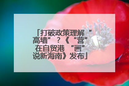 打破政策理解“高墙”？《“营”在自贸港 “画”说新海南》发布