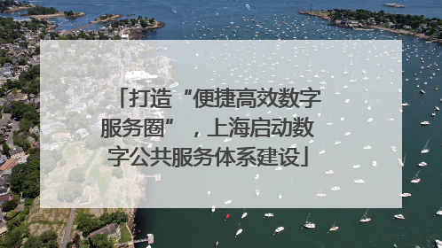 打造“便捷高效数字服务圈”，上海启动数字公共服务体系建设