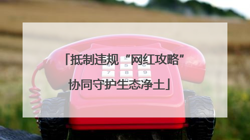 抵制违规“网红攻略” 协同守护生态净土