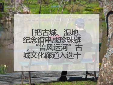 把古城、湿地、纪念馆串成珍珠链，“鲁风运河”古城文化廊道入选十大最美农村路