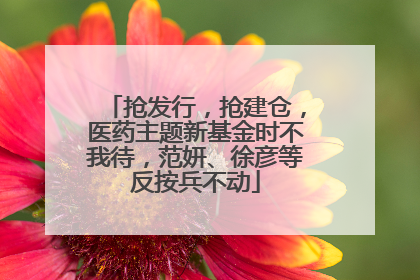 抢发行，抢建仓，医药主题新基金时不我待，范妍、徐彦等反按兵不动