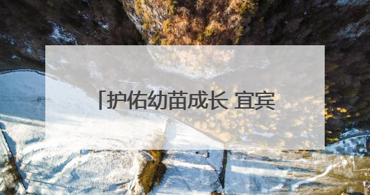 护佑幼苗成长 宜宾翠屏菜坝幼儿园多举措筑牢校园安全防线