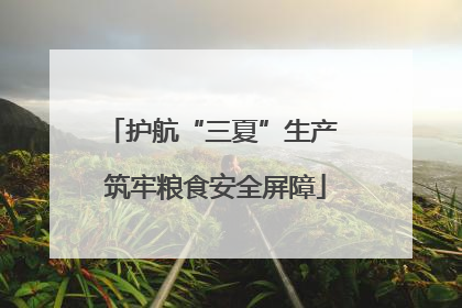 护航“三夏”生产 筑牢粮食安全屏障