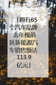 拥有65个汽车品牌 去年槐荫区新能源汽车销售额达113.9亿元