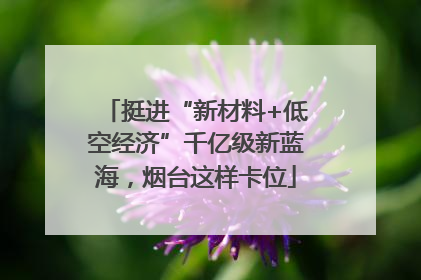 挺进“新材料+低空经济”千亿级新蓝海，烟台这样卡位